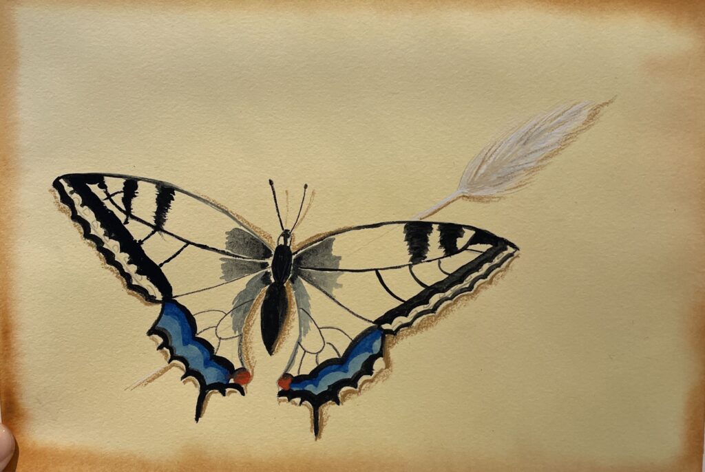 Image d'une peinture de papillon réalisé au cours de dessin et peinture de Thérèse-Marie Rossi sur Mons